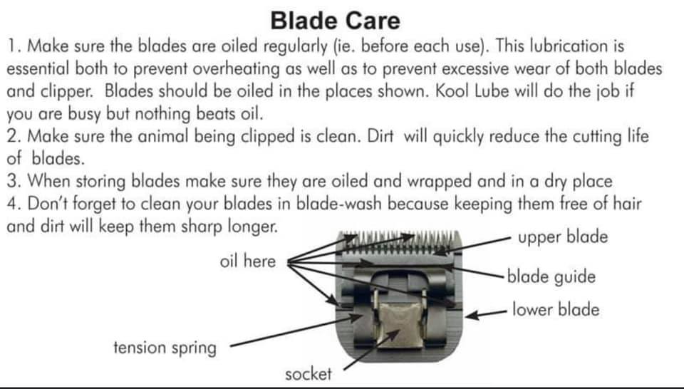 Oiling points of groomer blades