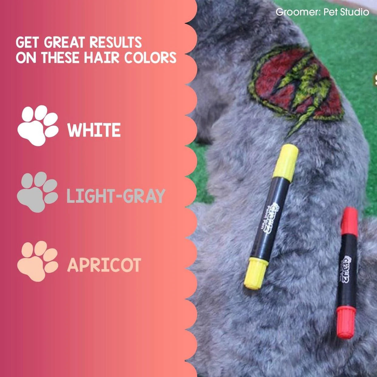 Pet Paint Set